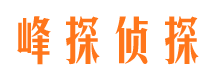 庐阳侦探公司